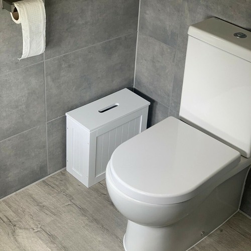 Bathroom toilet cleaning - toilet,